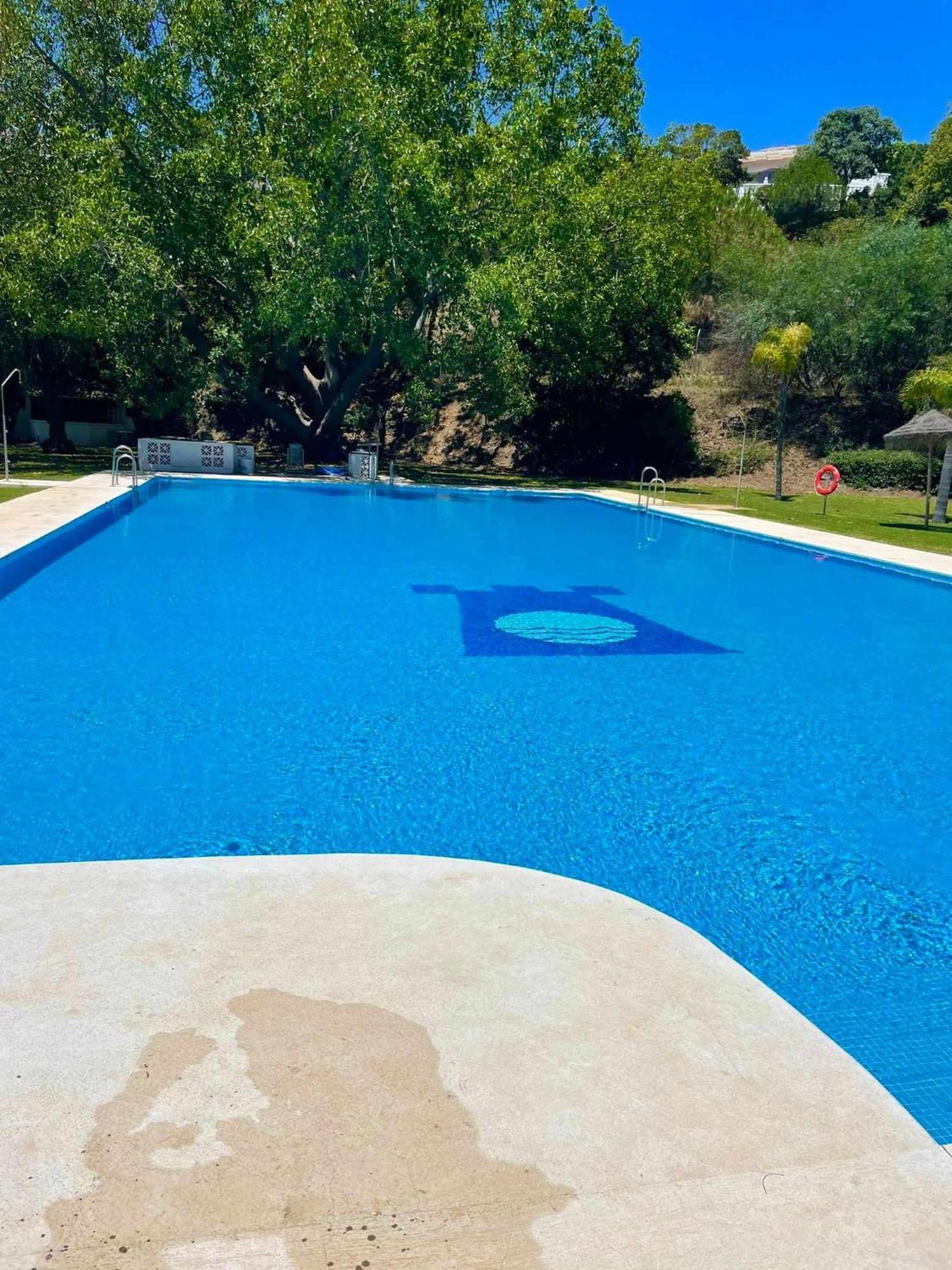 La Villa Escondida 1 Precioso Estudio Vista Al Mar Málaga Eksteriør bilde